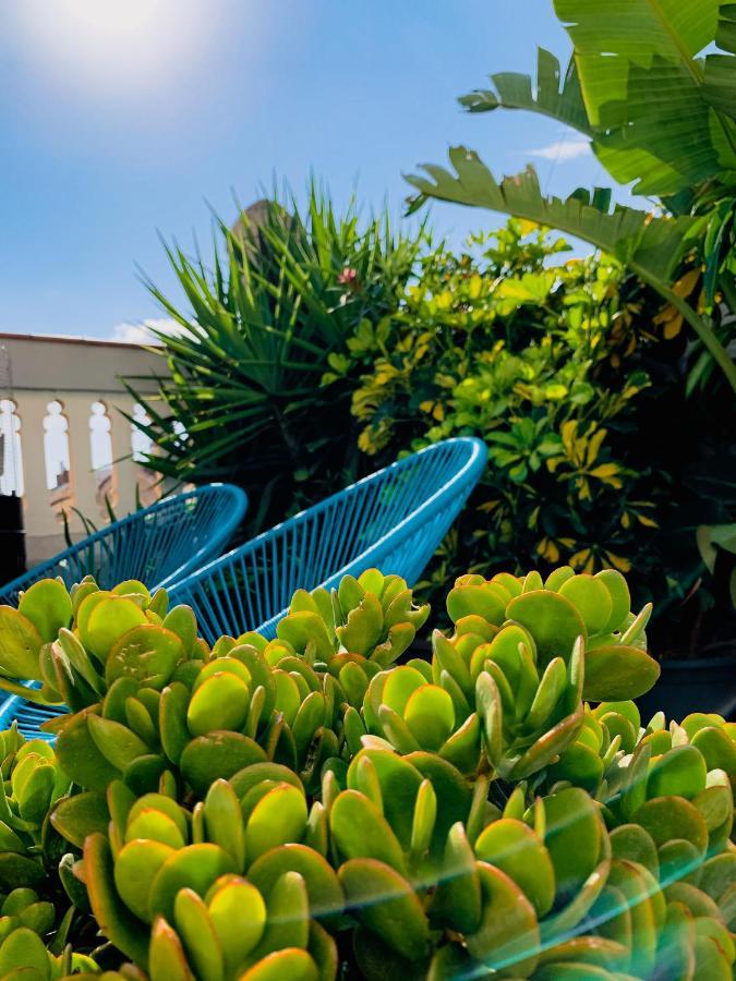 Incredible 2Br Penthouse With Urban Rooftop Garden Barcellona Esterno foto